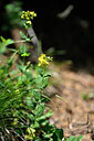 BUITEN BEELD Foto: 446355