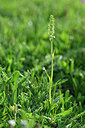 BUITEN BEELD Foto: 446356