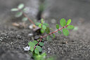 BUITEN BEELD Foto: 446357