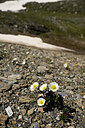 BUITEN BEELD Foto: 446358