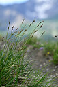 BUITEN BEELD Foto: 446361