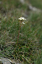 BUITEN BEELD Foto: 446364