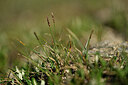 BUITEN BEELD Foto: 446368