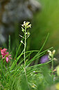 BUITEN BEELD Foto: 446370