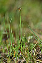 BUITEN BEELD Foto: 446373