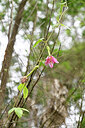 BUITEN BEELD Foto: 446376
