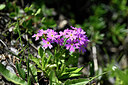 BUITEN BEELD Foto: 446378