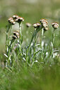 BUITEN BEELD Foto: 446379