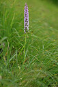 BUITEN BEELD Foto: 446383