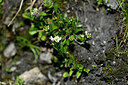 BUITEN BEELD Foto: 446384