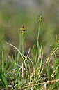 BUITEN BEELD Foto: 446386