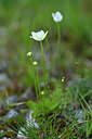 BUITEN BEELD Foto: 446387