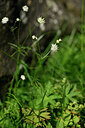 BUITEN BEELD Foto: 446391