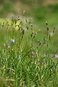 BUITEN BEELD Foto: 446392