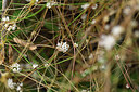 BUITEN BEELD Foto: 446393