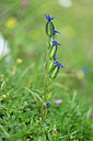 BUITEN BEELD Foto: 446394