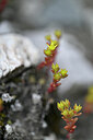 BUITEN BEELD Foto: 446395