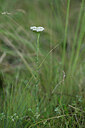 BUITEN BEELD Foto: 446396