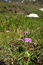 BUITEN BEELD Foto: 446399