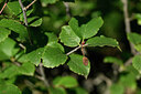 BUITEN BEELD Foto: 446411