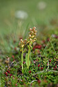 BUITEN BEELD Foto: 446414