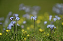 BUITEN BEELD Foto: 446415