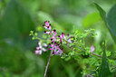 BUITEN BEELD Foto: 446417