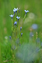 BUITEN BEELD Foto: 446418