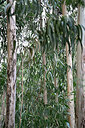 BUITEN BEELD Foto: 446422