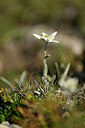 BUITEN BEELD Foto: 446427