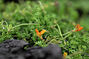 BUITEN BEELD Foto: 446428