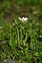 BUITEN BEELD Foto: 446429