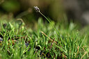 BUITEN BEELD Foto: 446430