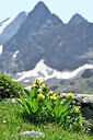 BUITEN BEELD Foto: 446434