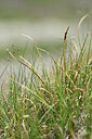 BUITEN BEELD Foto: 446436
