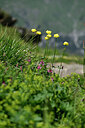 BUITEN BEELD Foto: 446444