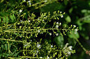 BUITEN BEELD Foto: 446446