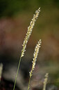 BUITEN BEELD Foto: 446448