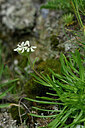 BUITEN BEELD Foto: 446453
