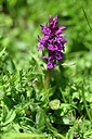 BUITEN BEELD Foto: 446455