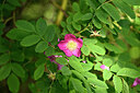 BUITEN BEELD Foto: 446463