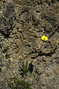 BUITEN BEELD Foto: 446467