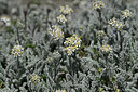 BUITEN BEELD Foto: 446469