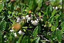 BUITEN BEELD Foto: 446470