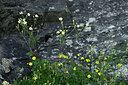 BUITEN BEELD Foto: 446471