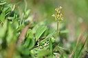 BUITEN BEELD Foto: 446475