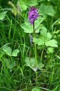 BUITEN BEELD Foto: 446477