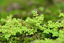 BUITEN BEELD Foto: 446478