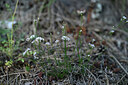 BUITEN BEELD Foto: 446480