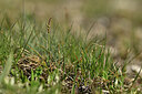 BUITEN BEELD Foto: 446483